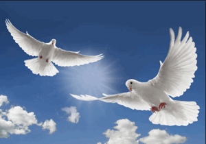 Obit Doves